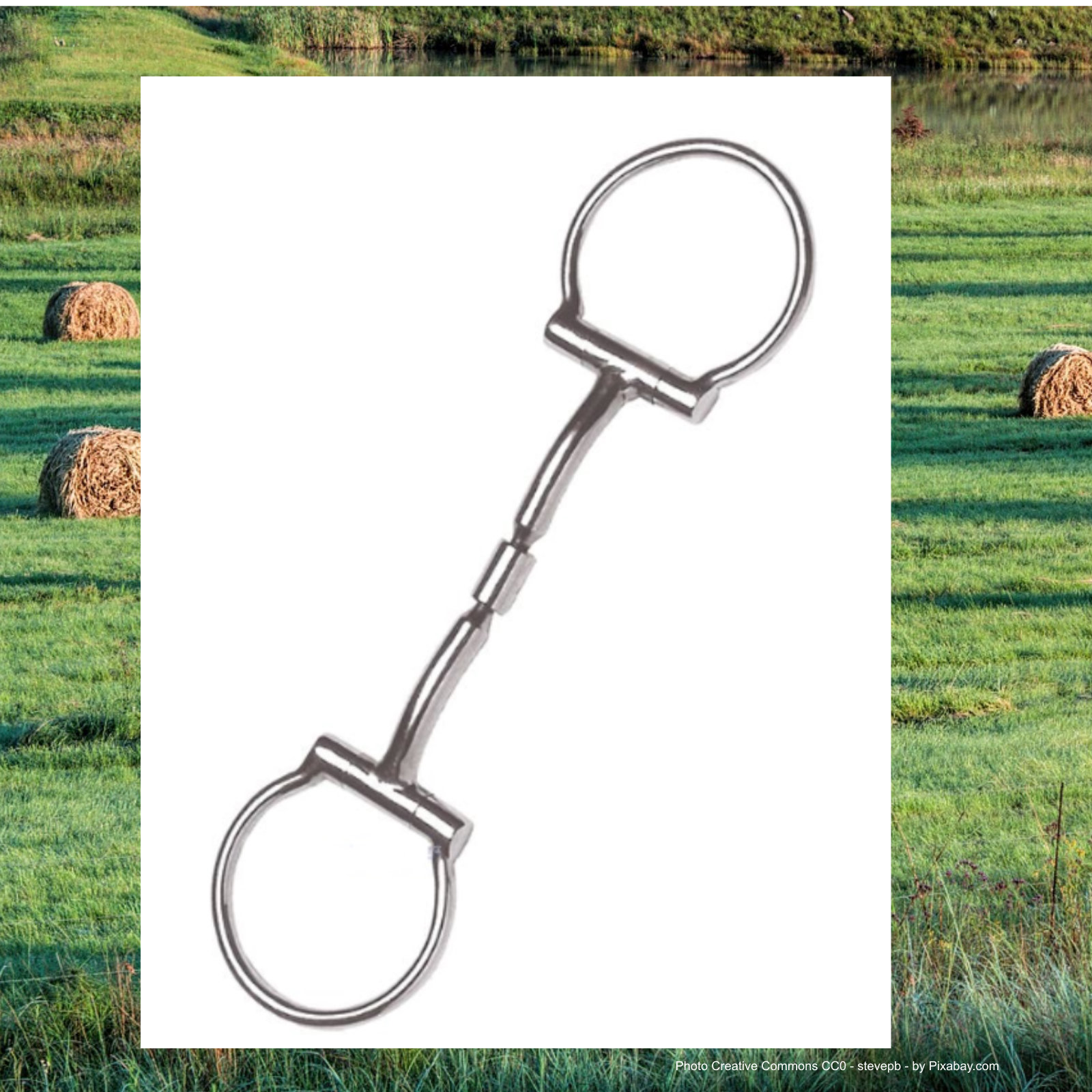 Billy Allen Offset Dee Ring Bit, Billy Allen D-Ring Snaffle, Wes