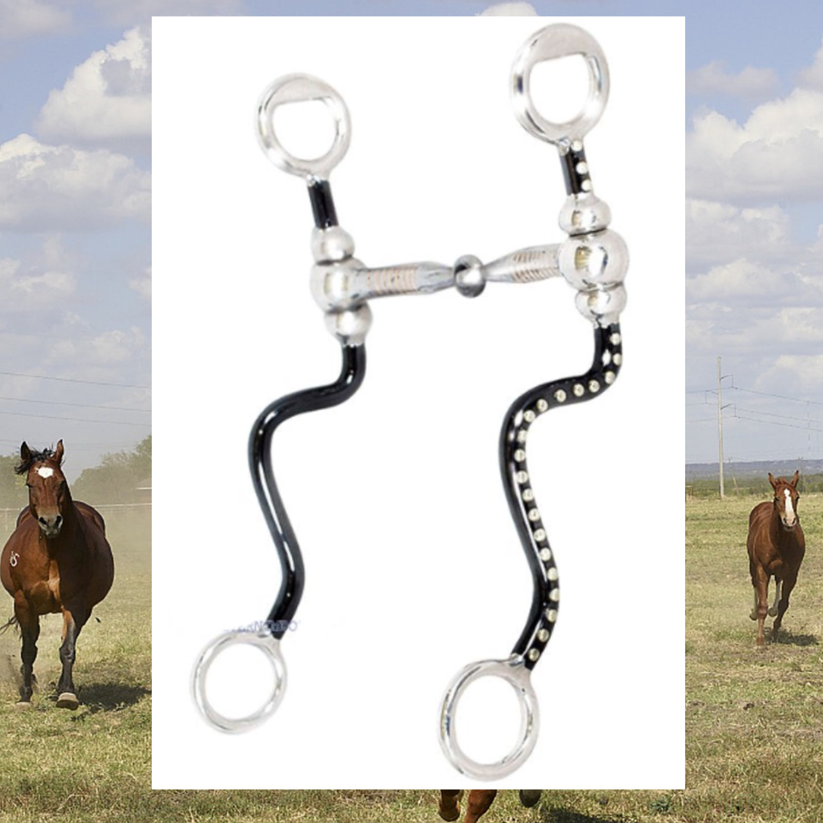 ProMaster Snaffle with Z-Shanks & Dots, 12,7cm, Show Bit, Z-Shan