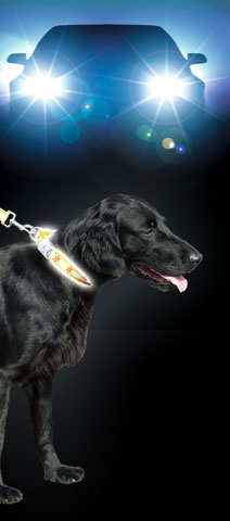 Hunde Sicherheitshalsband/ Reflektorhalsband mit Blinklicht