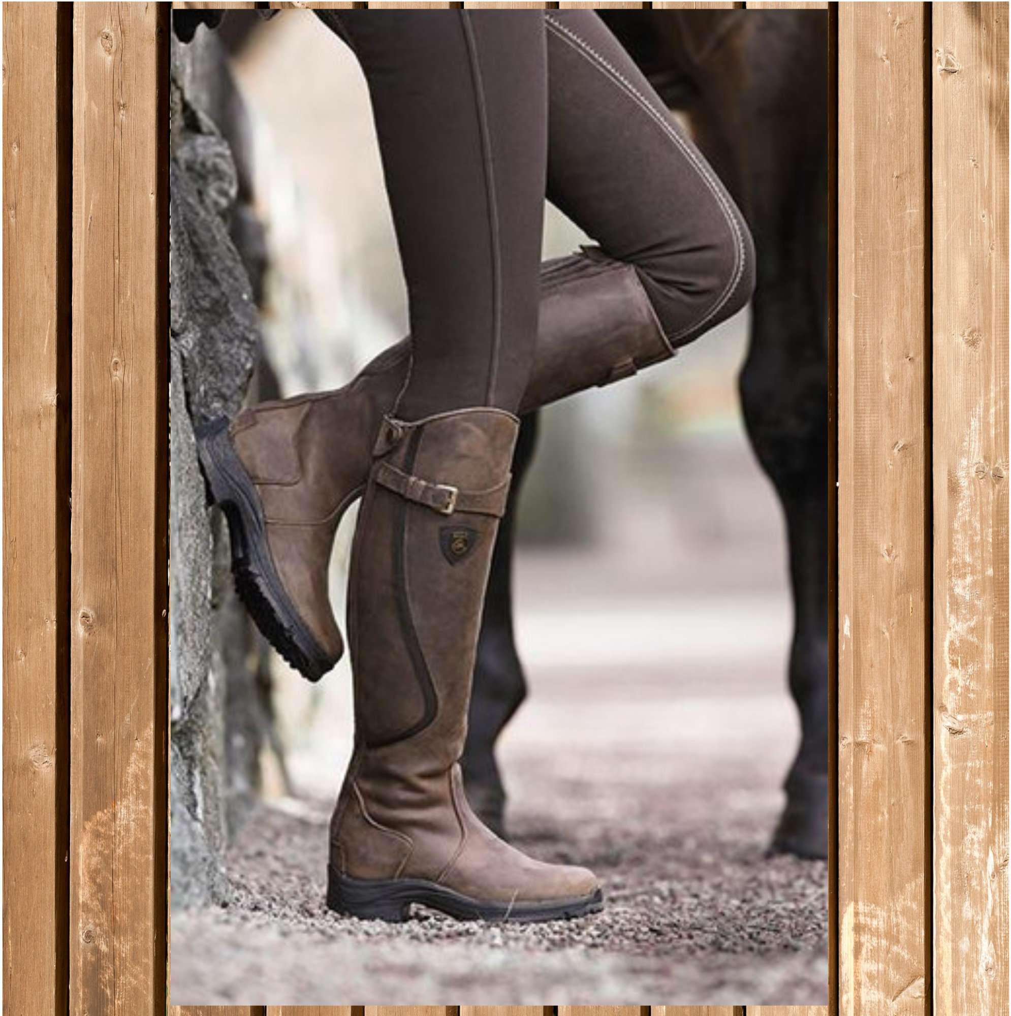 Mountain horse snowy river new arrivals