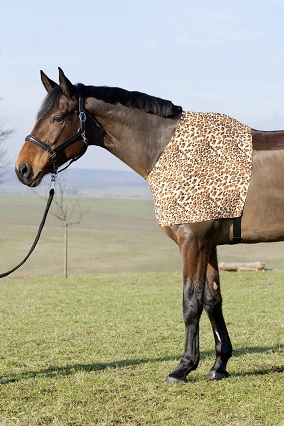 Brustschutz/Teilkörperdecke Trend Leoparden Print