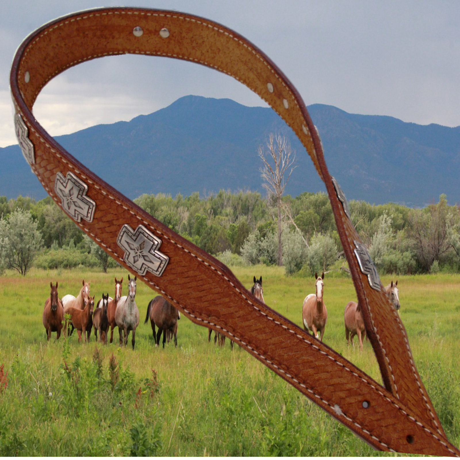 Leder Western Gürtel Cody Brand, Western Belt, punziert, Kreuzmo