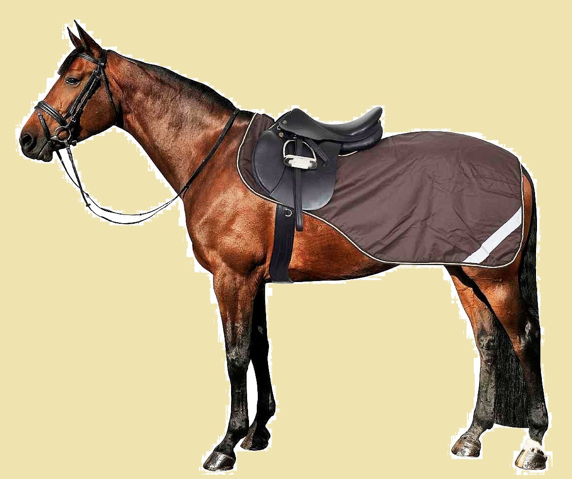 Horseware Amigo Competition Sheet, braun