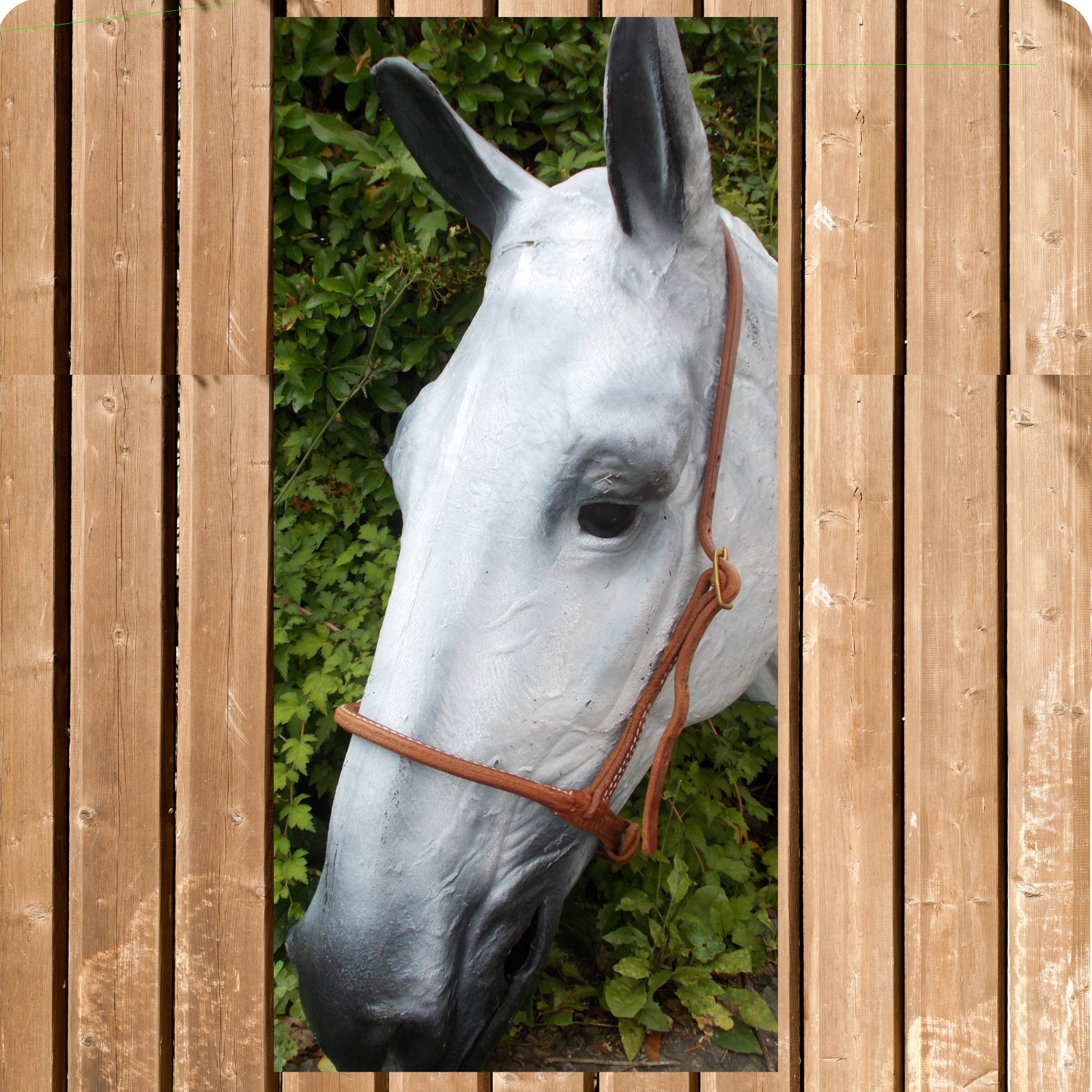 Leder Noseband, Caveson, Mouth Closer, Mouth Shut, rundgenäht, H