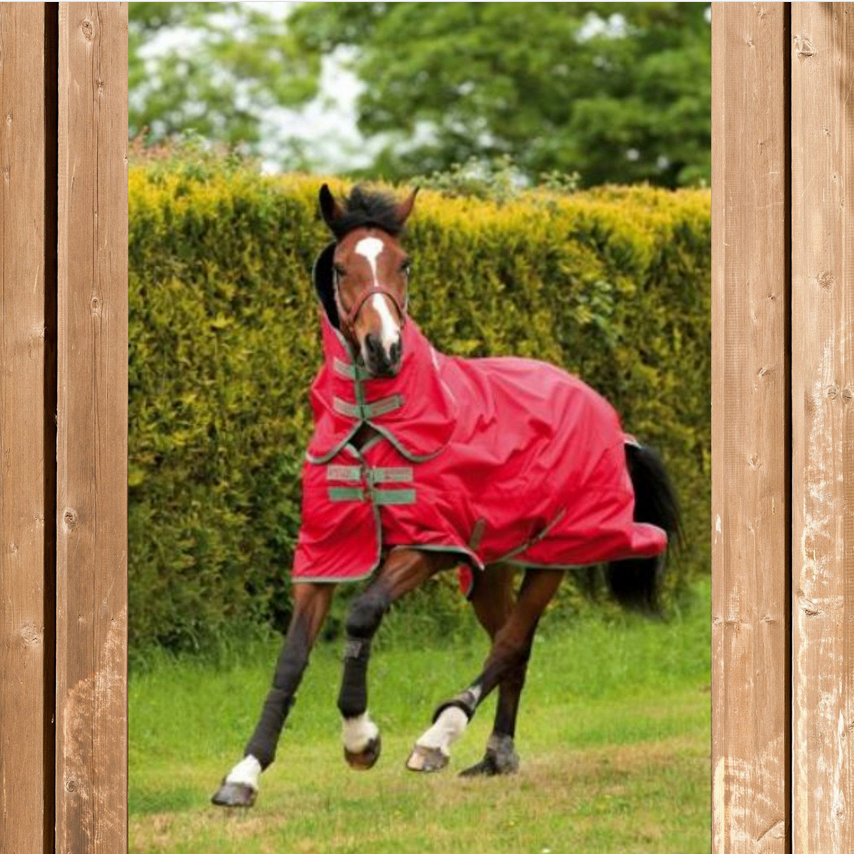 Horseware Amigo Hero lite Pony 0g, red-olive