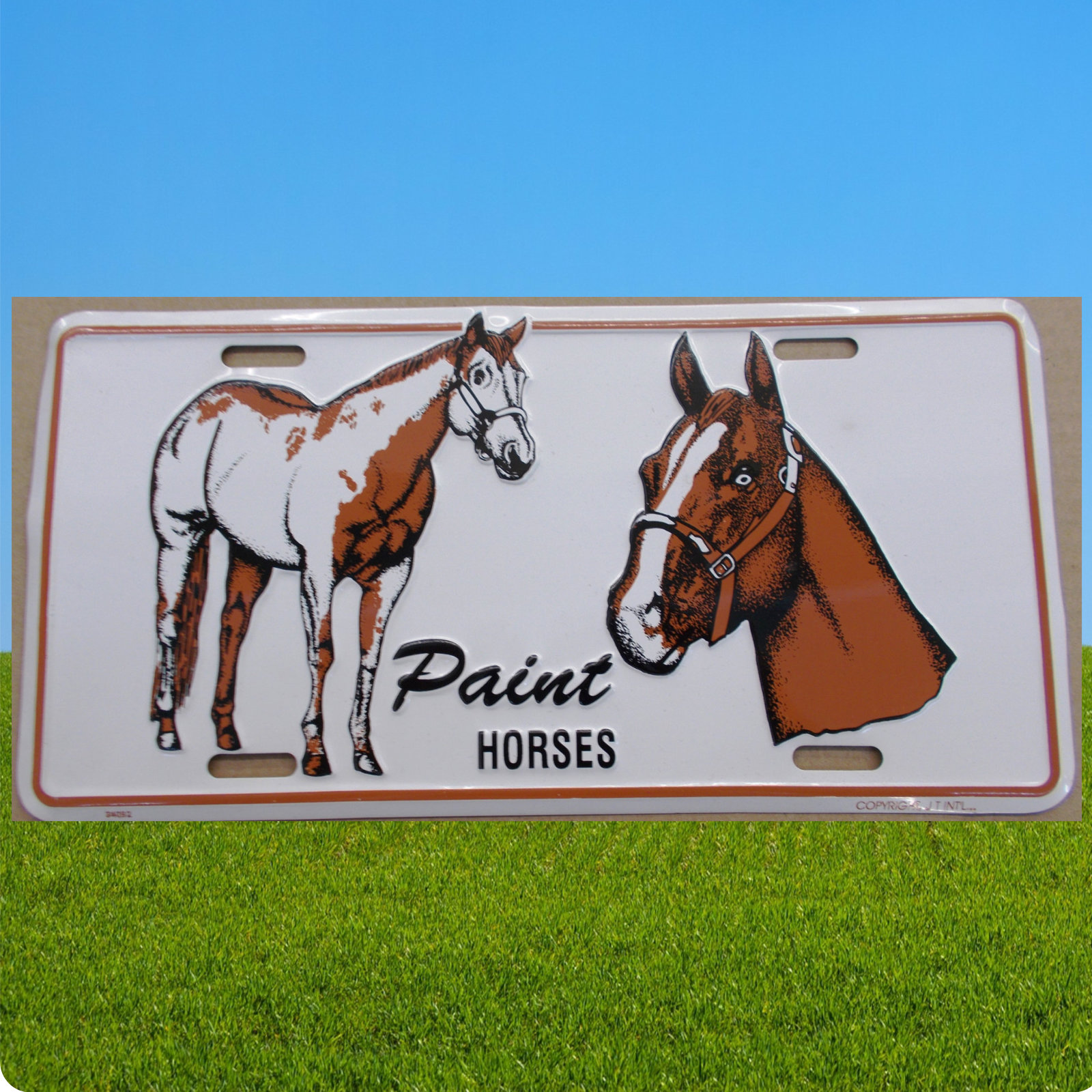 Schild "Paint Horses", Metallschild, Western Schild, 30 x 15 cm